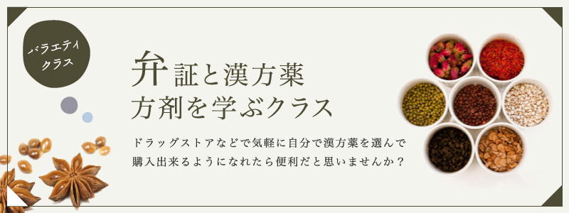 弁証と漢方薬・方剤を学ぶクラス